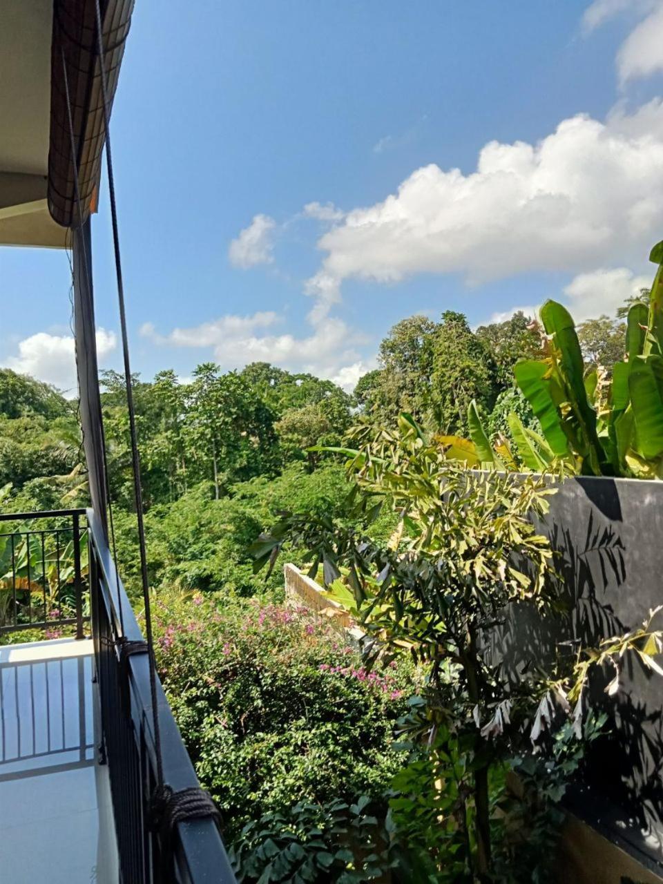 Lavista Guesthouse Ubud Eksteriør bilde